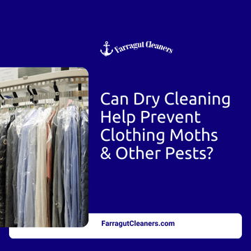 Can Dry Cleaning Help Prevent Clothing Moths & Other Pests?