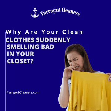 Why Are Your Clean Clothes Suddenly Smelling Bad in Your Closet?